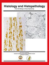 HISTOLOGY AND HISTOPATHOLOGY封面